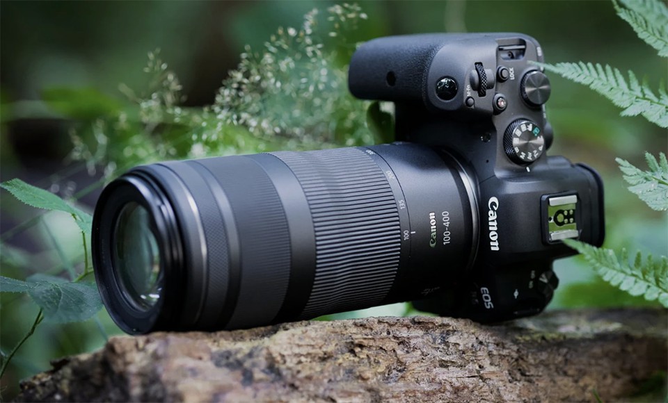 No.6 in 2025 Best-Selling New Lenses: Canon RF 100-400mm f/5.6-8 IS USM Telephoto Zoom Lens