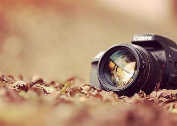 Beginner’s Guide to Photography