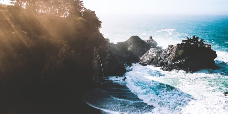 Be like a tree and let the dead leaves drop