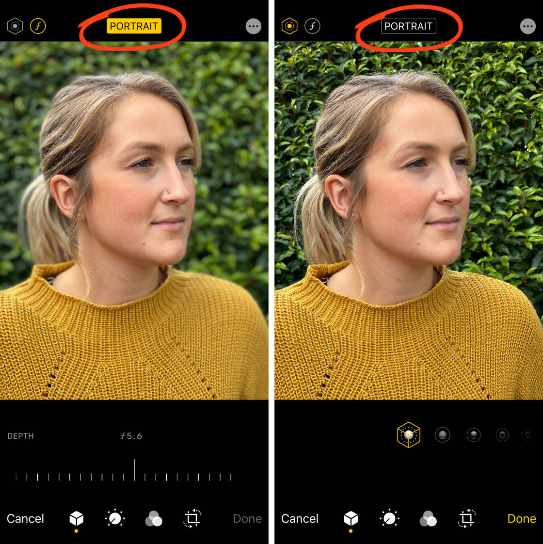 How to Adjust the Settings of Portrait Mode in Mobile Phone Photography