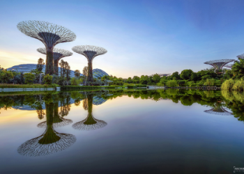 Mastering Landscape and Wildlife Photography: Tips for Capturing Natures Beauty