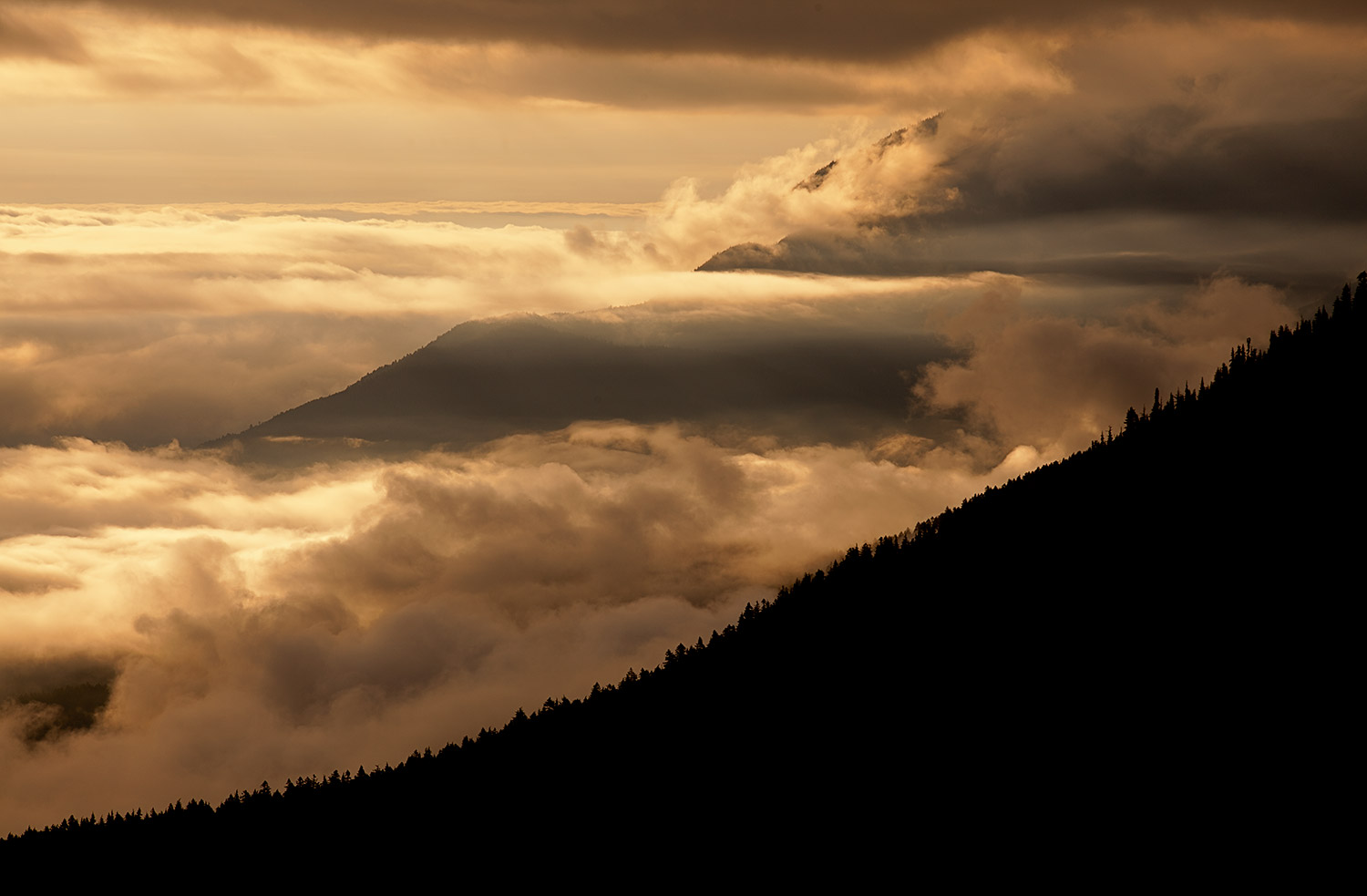 Mastering Sea of Clouds & Mountain Peak Combination Photography Techniques