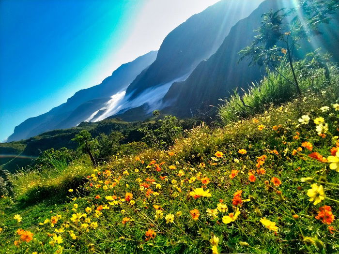 Seasonal Photography: How to Perfect Your Crop and Capture Natures Transitions