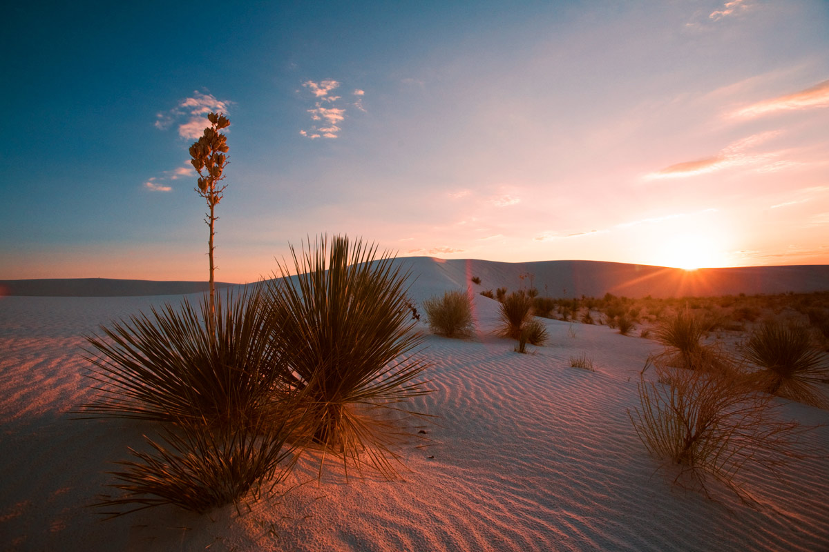 Desert Photography: Light & Shadow Techniques for Sunrise and Sunset