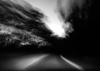 Creative Ways to Use Light for Mobile Phone Photography Success