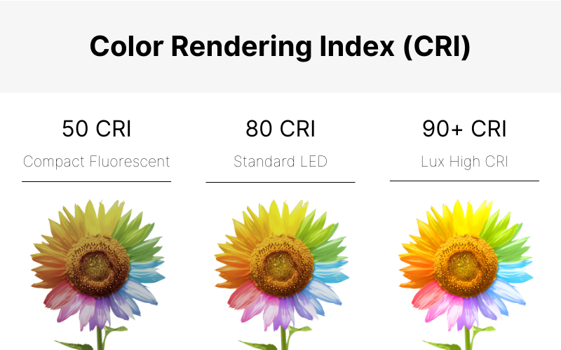 Why Color Rendering Index (CRI) Matters for Photographic Lights