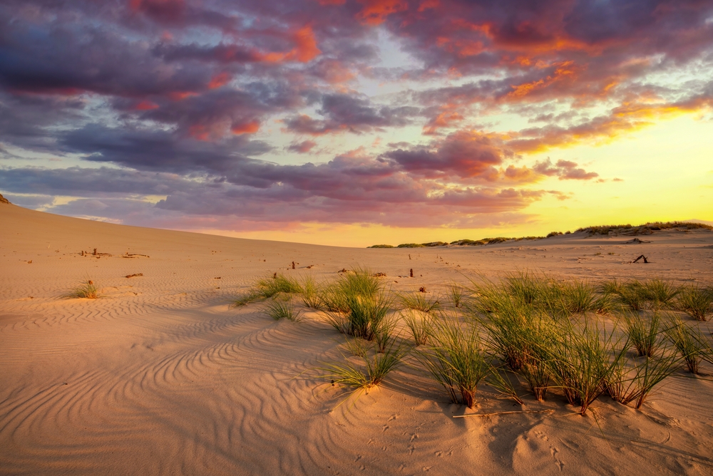 Wind-Sand Environment Photography: Expert Tips for Capturing Stunning Shots in Challenging Weather