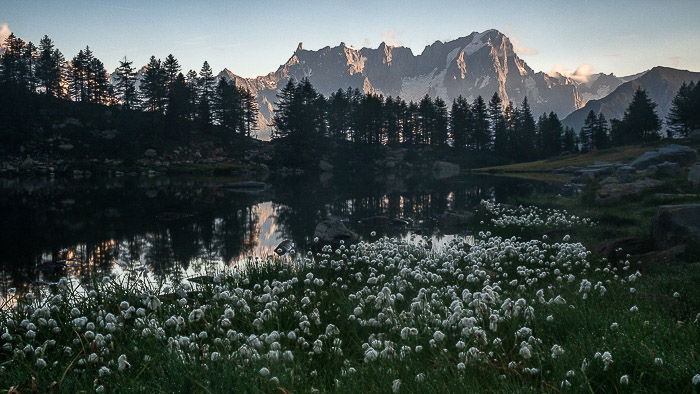 Seasonal Photography: How to Perfect Your Crop and Capture Natures Transitions