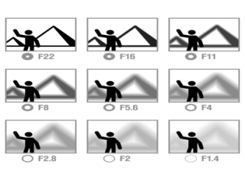 Mastering Dune Line Shapes: Top Photography Techniques for Stunning Shots