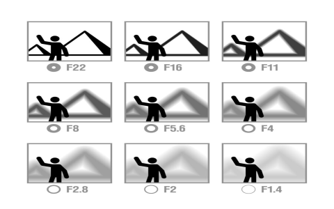 Mastering Dune Line Shapes: Top Photography Techniques for Stunning Shots