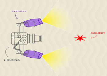 The Best Placement Position Skills for Photographic Lights: Master Lighting Techniques