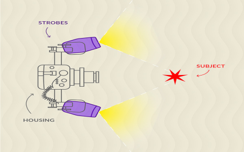 The Best Placement Position Skills for Photographic Lights: Master Lighting Techniques