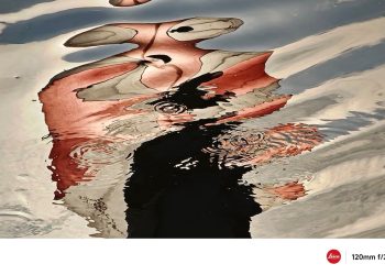 Review of Xiaomi 15 Mobile Phone Photography