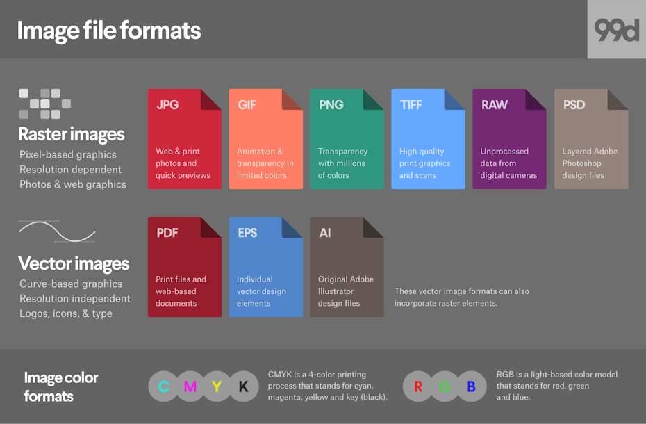 Essential Skills for File Format Conversion in Photography Editing