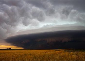 The Art and Technique of Nature Photography: Capturing the Wonders of the Wild