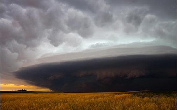 The Art and Technique of Nature Photography: Capturing the Wonders of the Wild