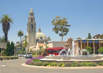 Discovering the Best Photo Spots in San Diego’s Autumn