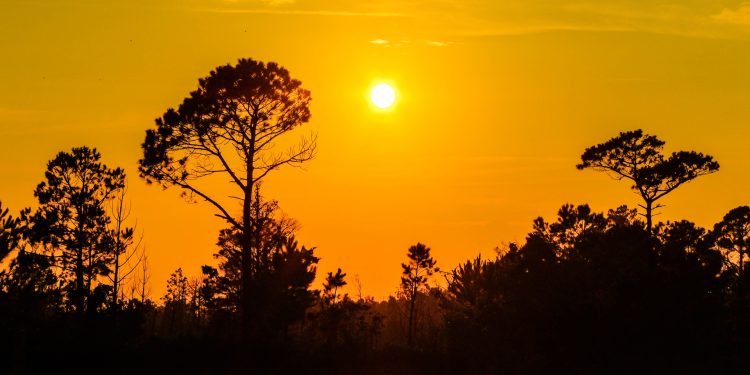 Inspiration for shooting the secondary sunset