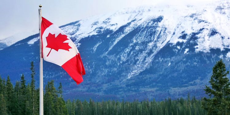 Tom Wilson: What I’ve Been up to in 2024