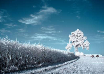 Essential Tips for Capturing Waterfall Scenery