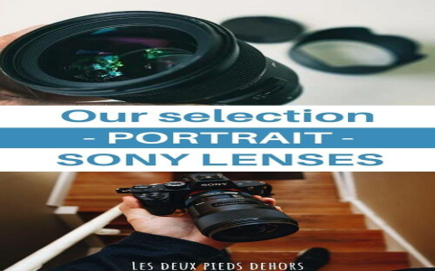 How to Select the Right Lenses for Surveillance Cameras: A Complete Guide