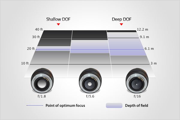 Understanding the Aperture of Camera Lenses: Key to Light Control and Depth of Field