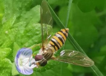 Introduction to Capture One: A Gateway to Professional Photo Editing