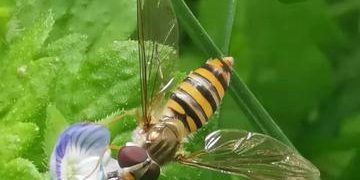 Introduction to Capture One: A Gateway to Professional Photo Editing