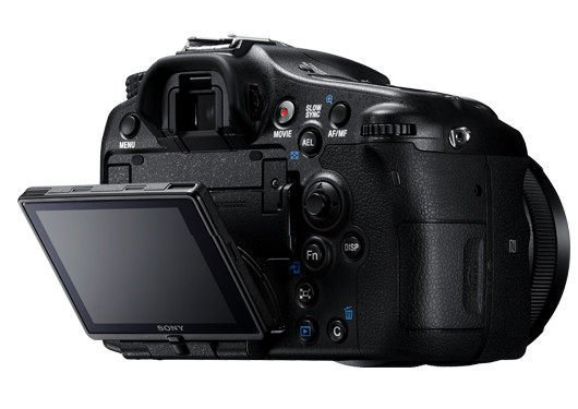 How Beginners Can Kickstart Their Journey to Make Money Doing Photography