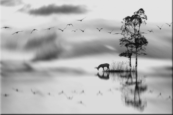 Black & White Landscape Photography