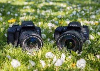 Mastering Balanced Composition in Photography: A Beginner’s Guide