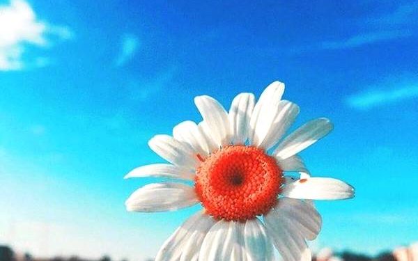 How to Take Aesthetic Photos