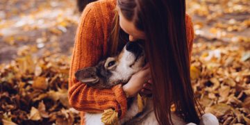 Fall and Animals: Capturing the Beauty of the Season Fall and Animals: Capturing the Beauty of the Season