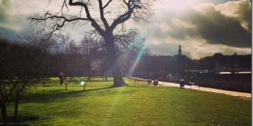 Golden Hour Photography