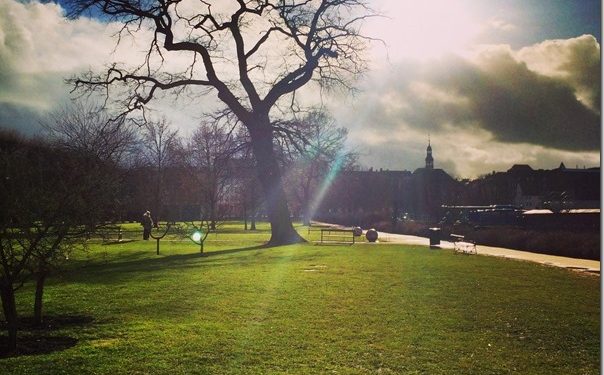 Golden Hour Photography