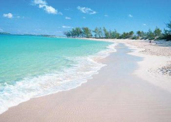 High – Definition Beach Photo: A Visual Poem of Nature