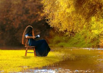 500px by 500px: The Unique Charm of the Image Size